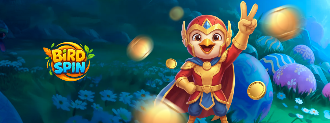 birdspin-france